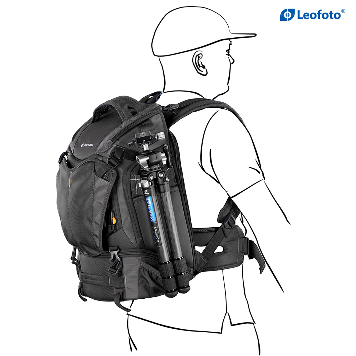 LS-253CM + LH-30 | Leofoto LS-253C + LH-30 | Leofoto Vietnam