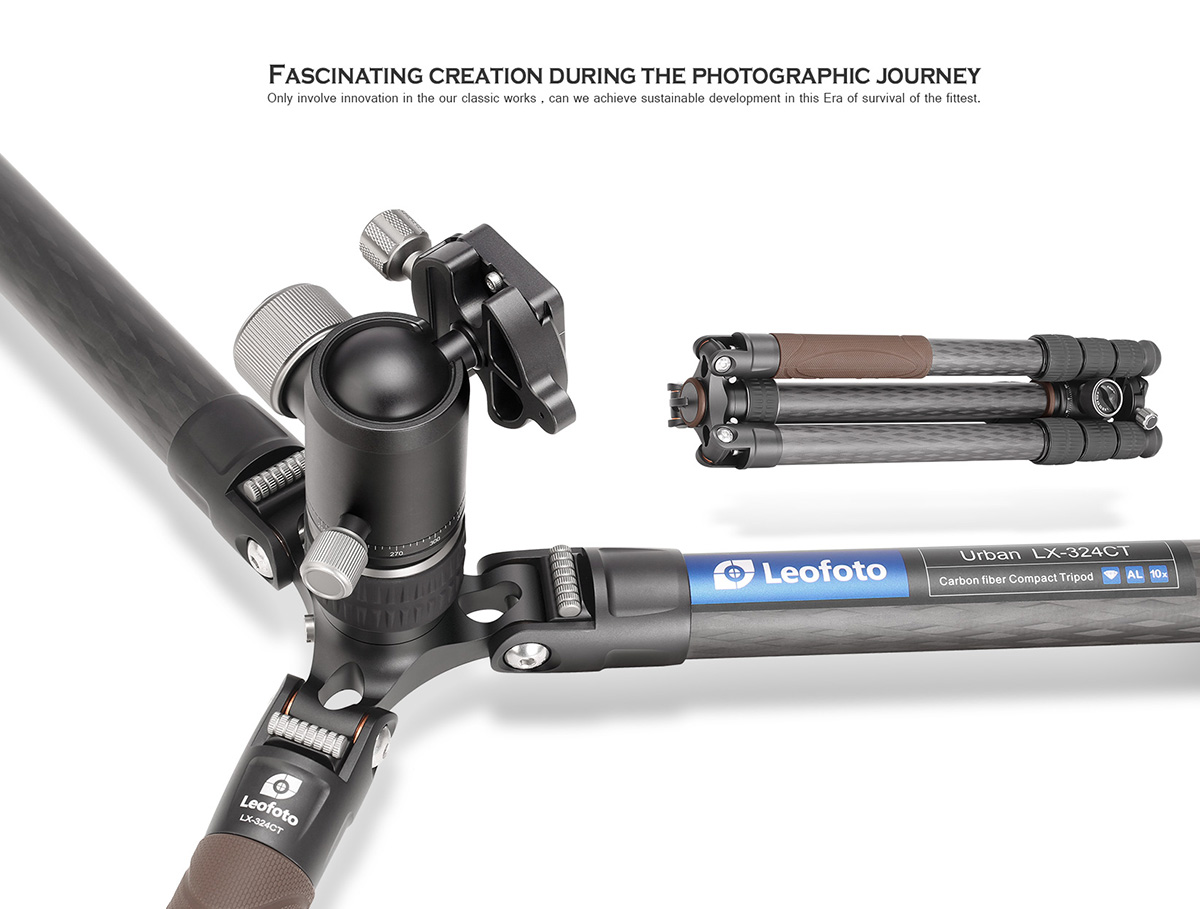 Fascinating creation during the photographic journey