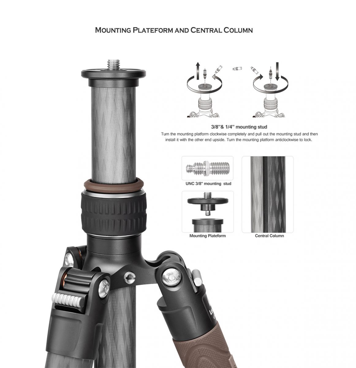 Mounting Platform and Central Column